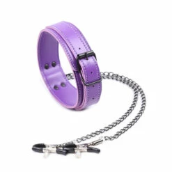Collar With Clamps, Purple -Snazaroo Shop 3432165452 1557592402 c7ce08aaf7
