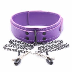 Collar With Clamps, Purple