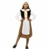 Smiffys Tudor Girl Costume -Snazaroo Shop 44015 6e98d25f91