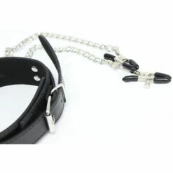 Collar With Clamps, Black -Snazaroo Shop 6bda058089aa00f3c0e7041b4cafaae 042ccad288