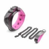 Collar With Lead, Black Pink -Snazaroo Shop 8783326762 1557592402 be5e9a2b12