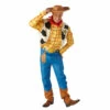 Woody Deluxe Costume -Snazaroo Shop 880563 0e190e9301