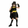 Batgirl Deluxe Costume -Snazaroo Shop 882313 52328f1eff