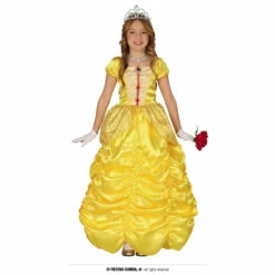 Yellow Princess Costume