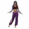 Smiffys Arabian Princess Costume -Snazaroo Shop arabian princess costume purple 2000x cd7b68bce5